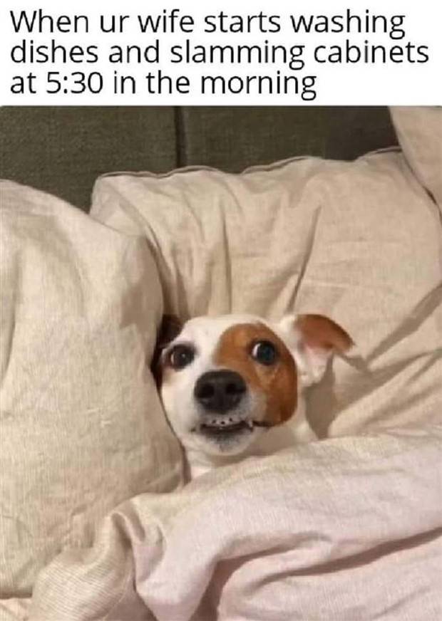 Funny Pics and Memes to Make You Laugh #83 (36 photos)