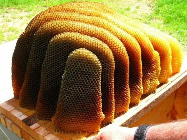 35 Hunger Inducing Visually Satisfying Images (35 photos)