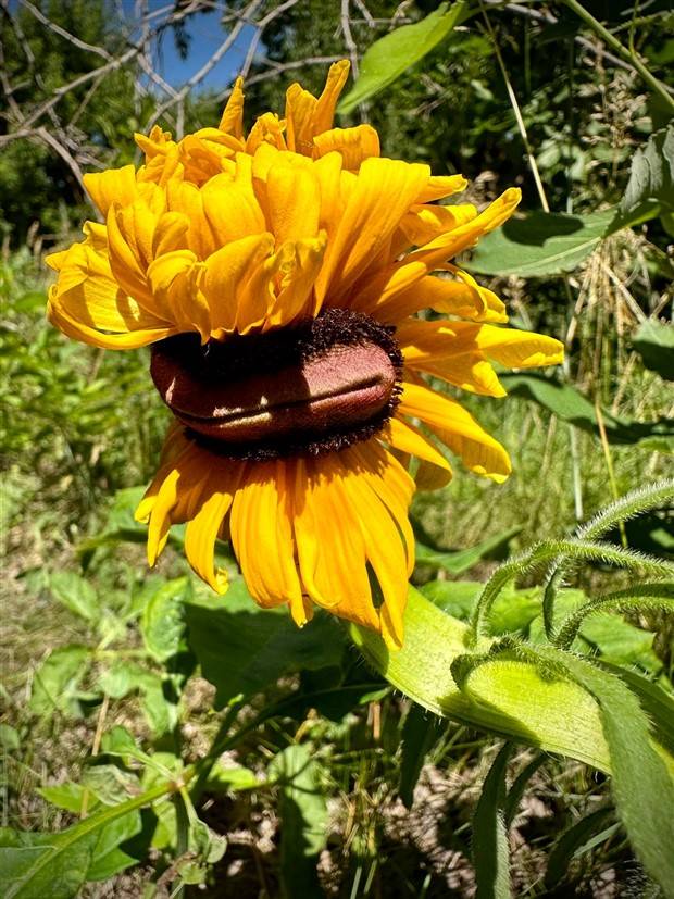 Klyker Picdump #1355 (55 photos)