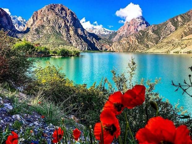 Klyker Picdump #1355 (55 photos)