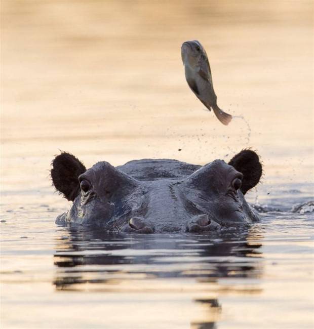 Klyker Picdump #1355 (55 photos)