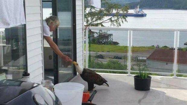 Klyker Picdump #1355 (55 photos)