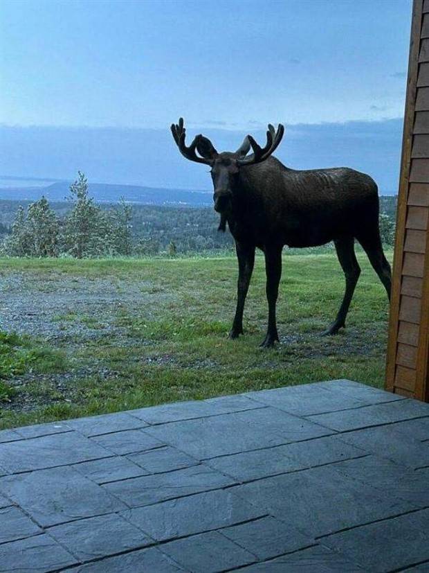 Klyker Picdump #1355 (55 photos)