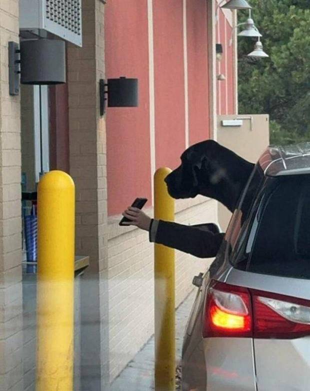 Klyker Picdump #1359 (54 photos)