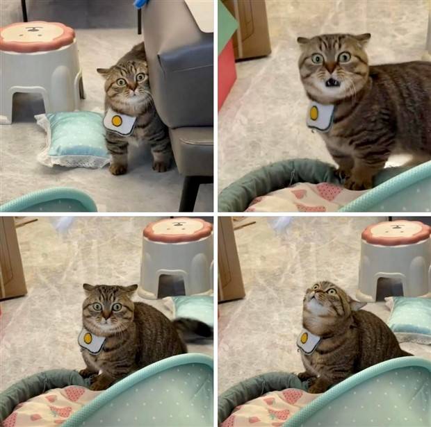 Klyker Picdump #1363 (53 photos)