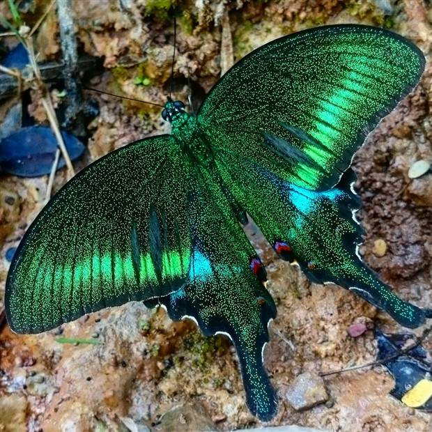 Klyker Picdump #1363 (53 photos)