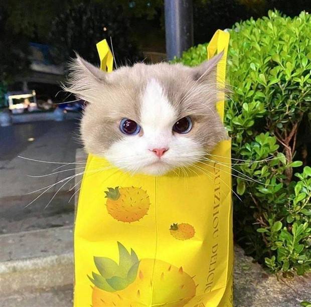 Klyker Picdump #1363 (53 photos)