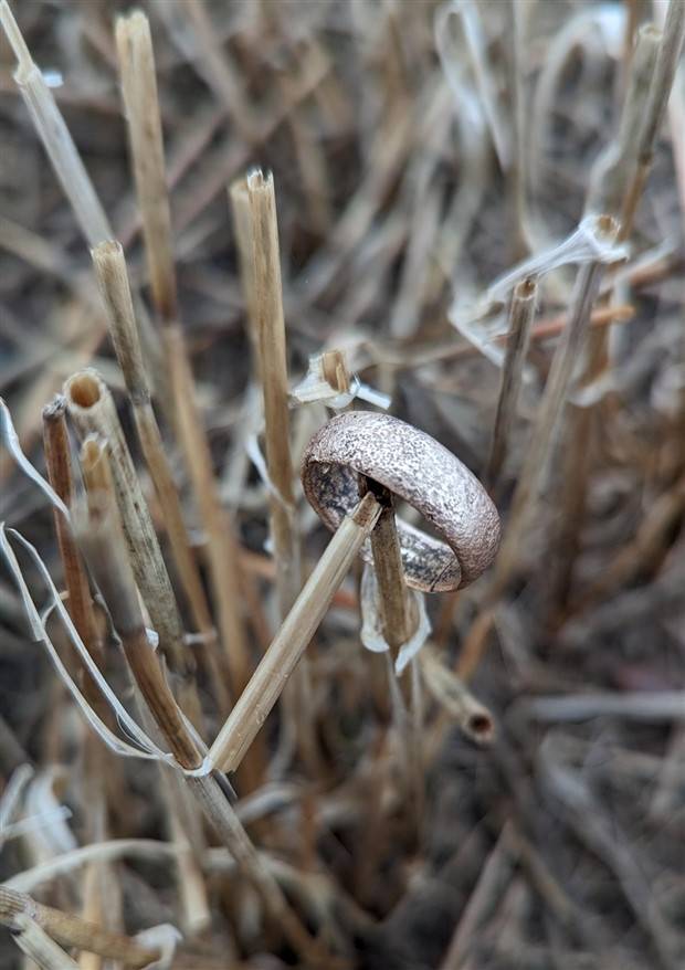 Klyker Picdump #1363 (53 photos)