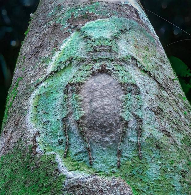 Klyker Picdump #1363 (53 photos)