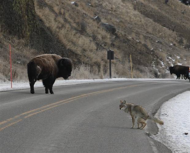 Klyker Picdump #1363 (53 photos)