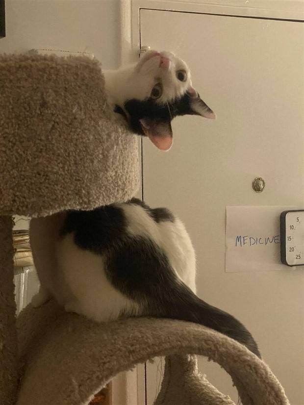 Klyker Picdump #1363 (53 photos)