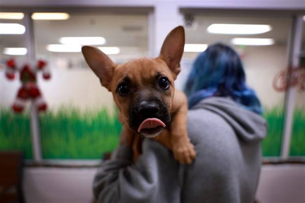 Klyker Picdump #1363 (53 photos)