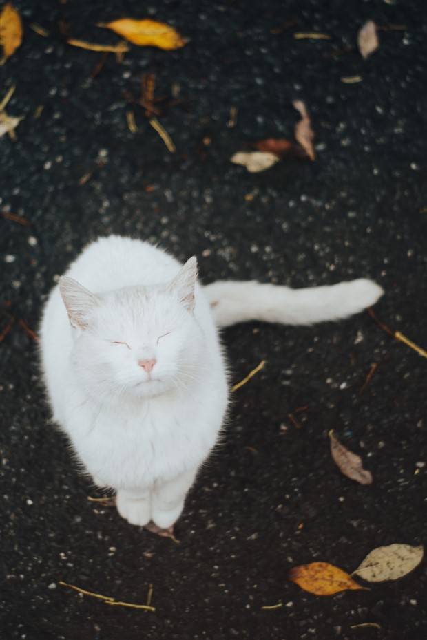 Klyker Picdump #1363 (53 photos)