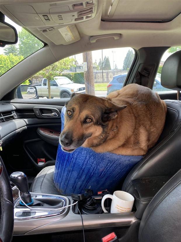 Klyker Picdump #1365 (55 photos)