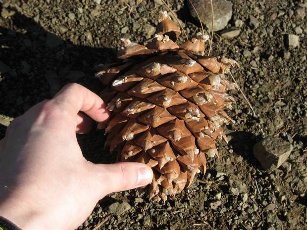 Klyker Picdump #1365 (55 photos)