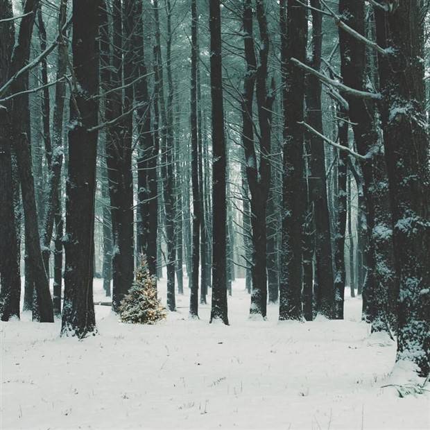 Klyker Picdump #1365 (55 photos)