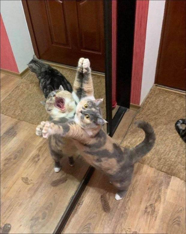 Klyker Picdump #1365 (55 photos)