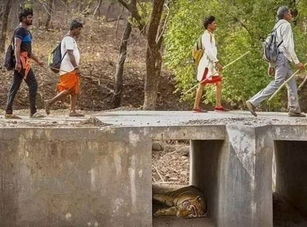 Klyker Picdump #1365 (55 photos)