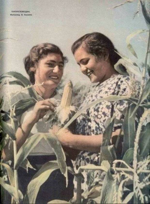 Klyker Picdump #1365 (55 photos)