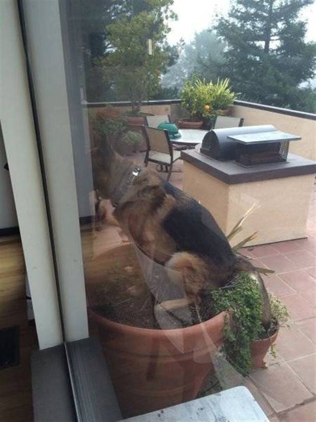 Klyker Picdump #1365 (55 photos)