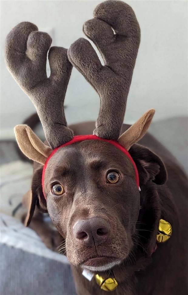 Klyker Picdump #1365 (55 photos)