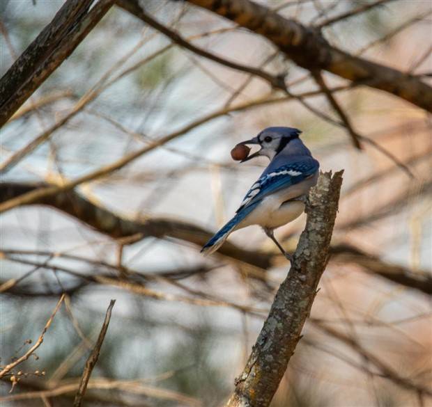 Klyker Picdump #1348 (53 photos)