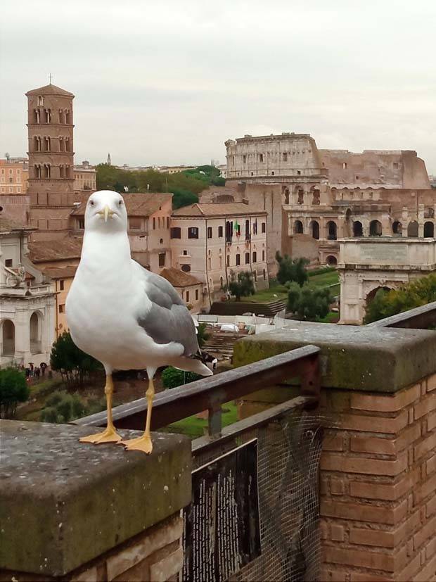 Klyker Picdump #1348 (53 photos)