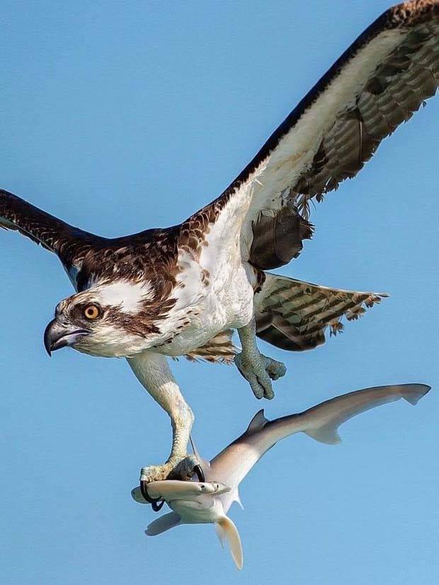 Klyker Picdump #1348 (53 photos)