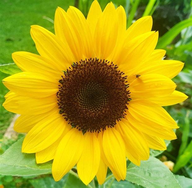 Soothing Pictures for Perfectionists #17 (30 photos)