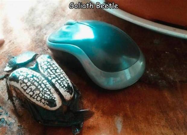pictures with captions 4 2 Interesting Pictures with Captions #82 (28 photos)