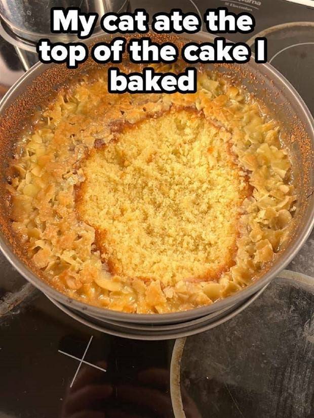 shit happens 14 2 Shit Happens Regularly, Get Used To It #256 (32 photos)