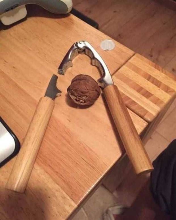 shit happens 18 2 Shit Happens Regularly, Get Used To It #256 (32 photos)