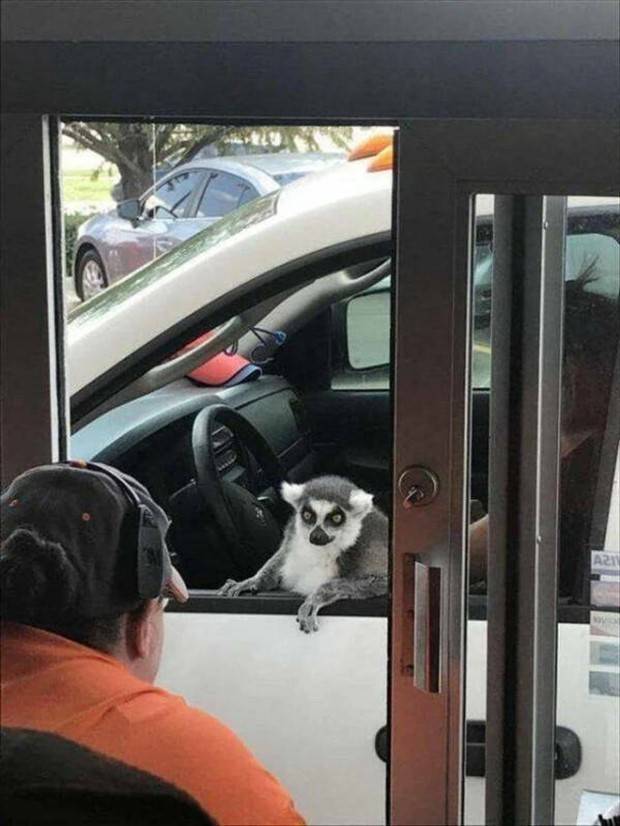 Welcome to the Weird Side of the Internet #188 (34 photos)