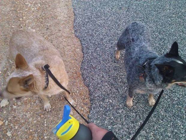 amusing coincidences 7 Funny Coincidences that Are too Good to Be True #10 (30 photos)