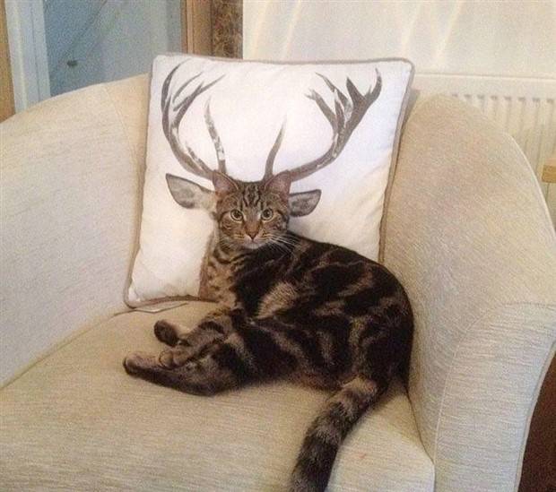 amusing coincidences 9 Funny Coincidences that Are too Good to Be True #10 (30 photos)