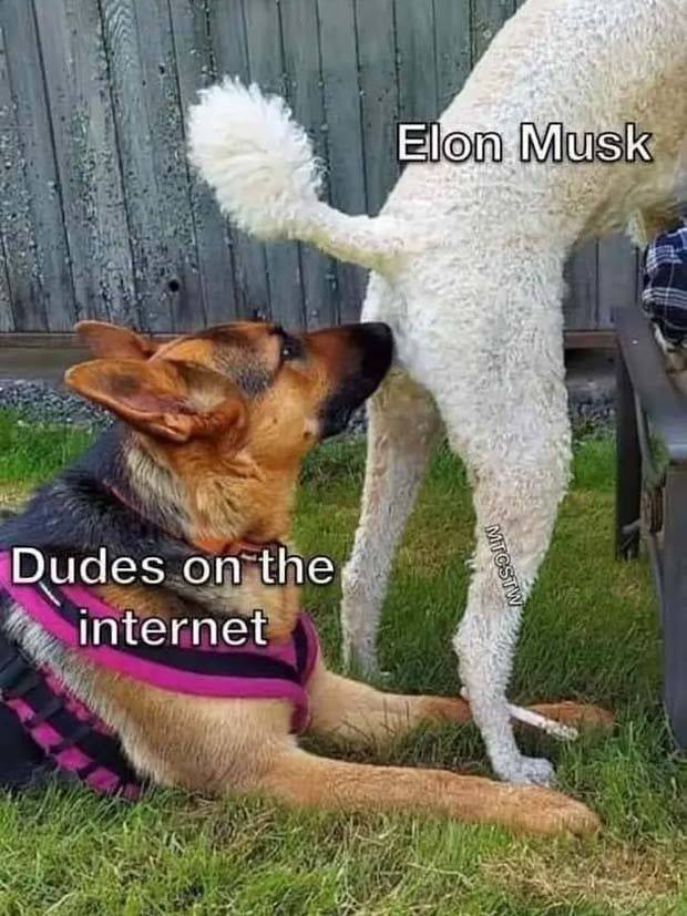 Funny Pics and Memes to Make You Laugh #86 (34 photos)