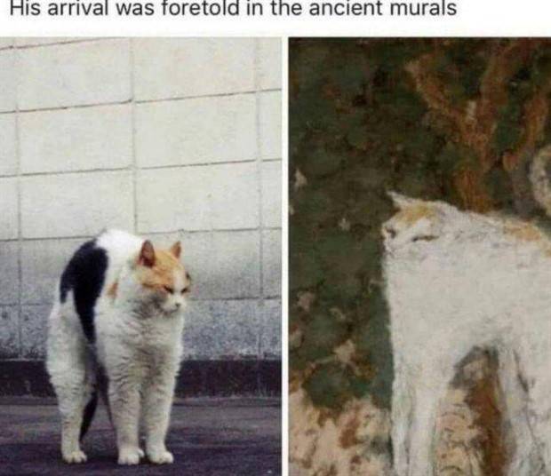 Funny Pics and Memes to Make You Laugh #86 (34 photos)