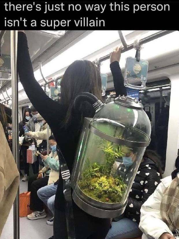 Funny Pics and Memes to Make You Laugh #86 (34 photos)