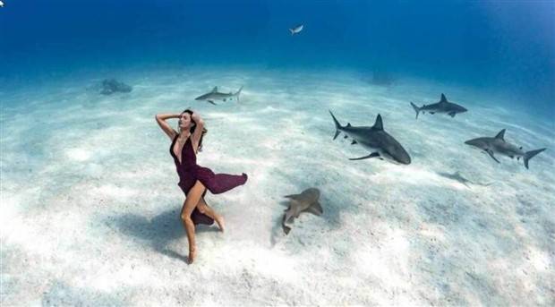 awesome images 1 1 Awesome Pictures You Shouldn’t Miss #84 (31 photos)