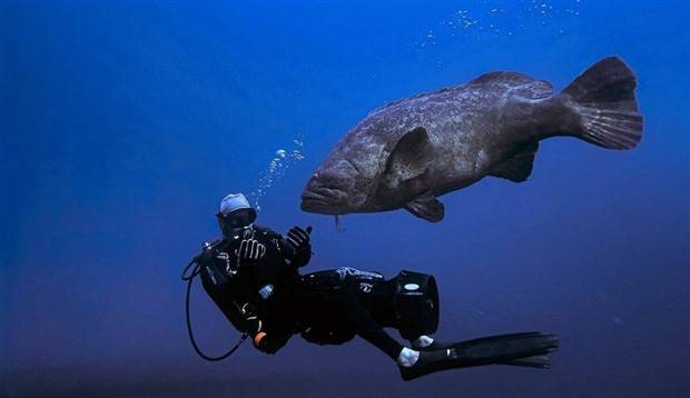 awesome images 14 1 Awesome Pictures You Shouldn’t Miss #84 (31 photos)