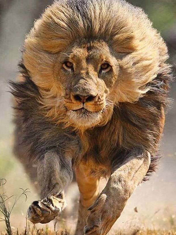 awesome images 26 1 Awesome Pictures You Shouldn’t Miss #84 (31 photos)