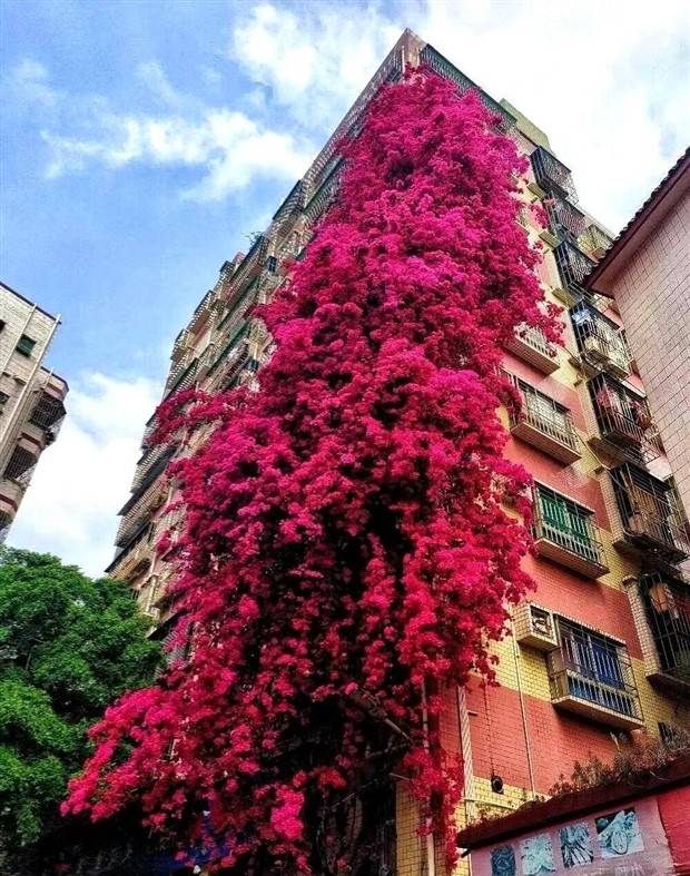 awesome images 29 1 Awesome Pictures You Shouldn’t Miss #84 (31 photos)