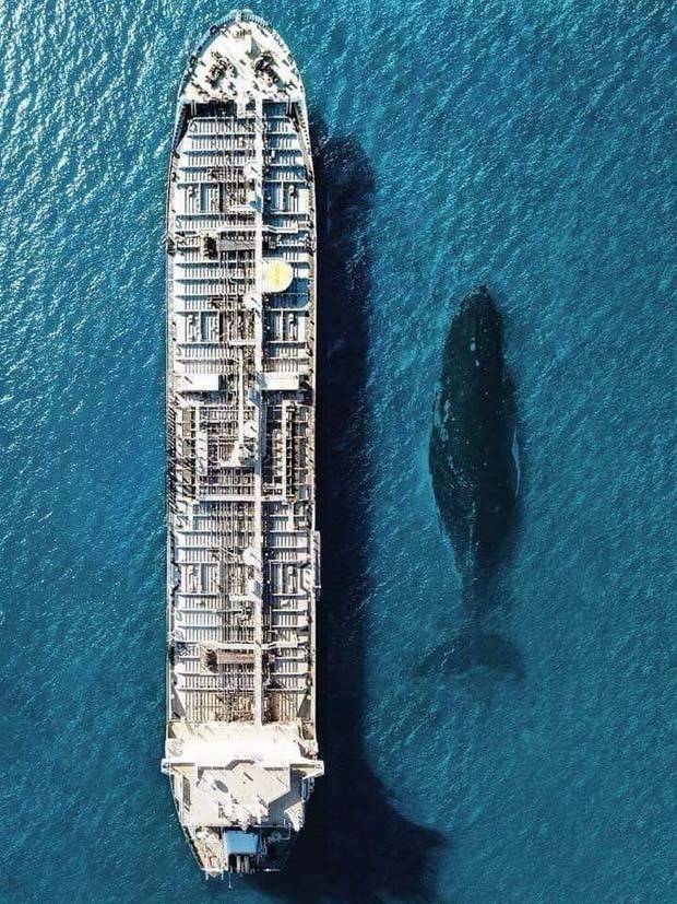 awesome images 30 1 Awesome Pictures You Shouldn’t Miss #84 (31 photos)