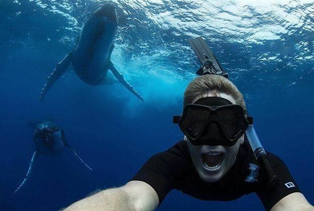 awesome images 7 1 Awesome Pictures You Shouldn’t Miss #84 (31 photos)