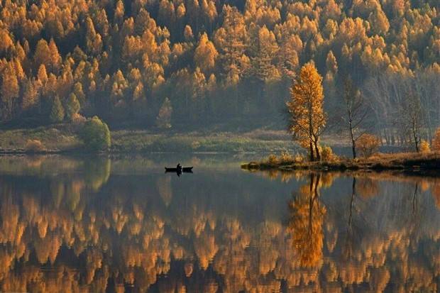 awesome images 9 1 Awesome Pictures You Shouldn’t Miss #84 (31 photos)