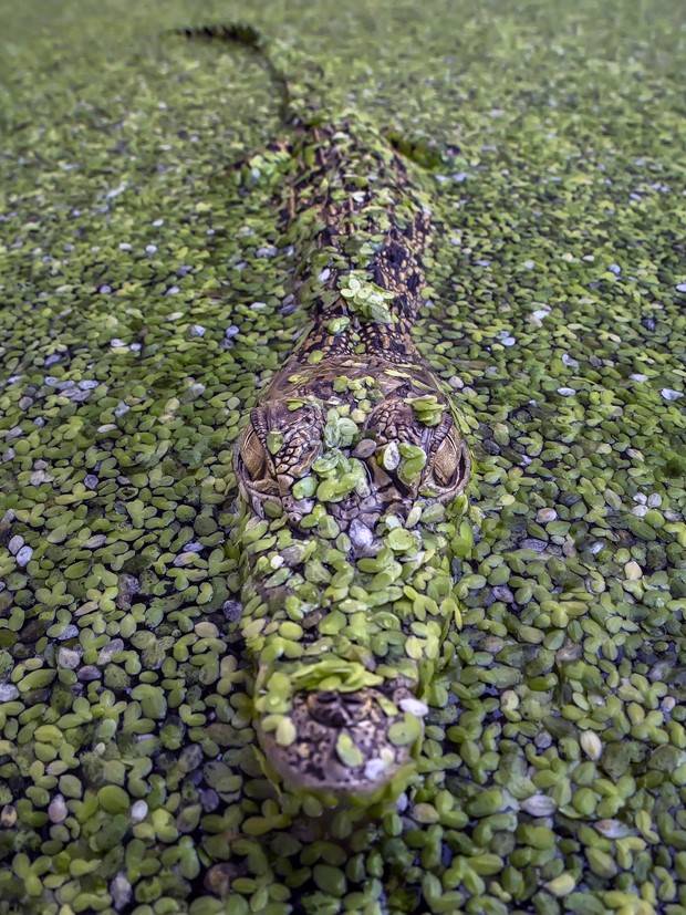 Awesome Pictures You Shouldn’t Miss #85 (28 photos)