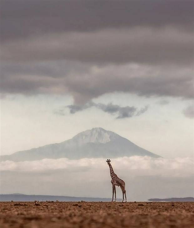 Awesome Pictures You Shouldn’t Miss #85 (28 photos)