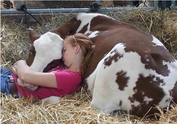 Awesome Pictures You Shouldn’t Miss #85 (28 photos)