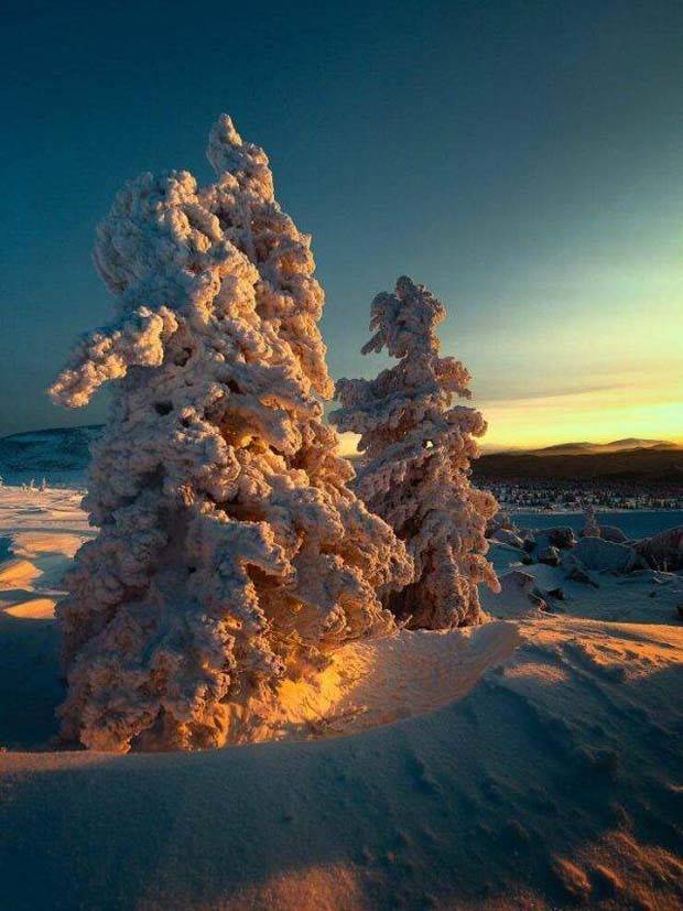 Awesome Pictures You Shouldn’t Miss #85 (28 photos)