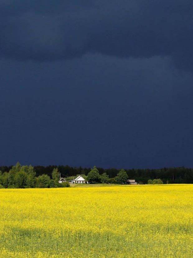 Awesome Pictures You Shouldn’t Miss #85 (28 photos)